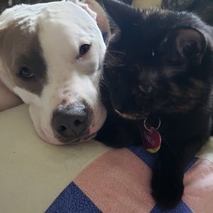 Meet your Posher, Becki